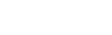 Shandun Logo